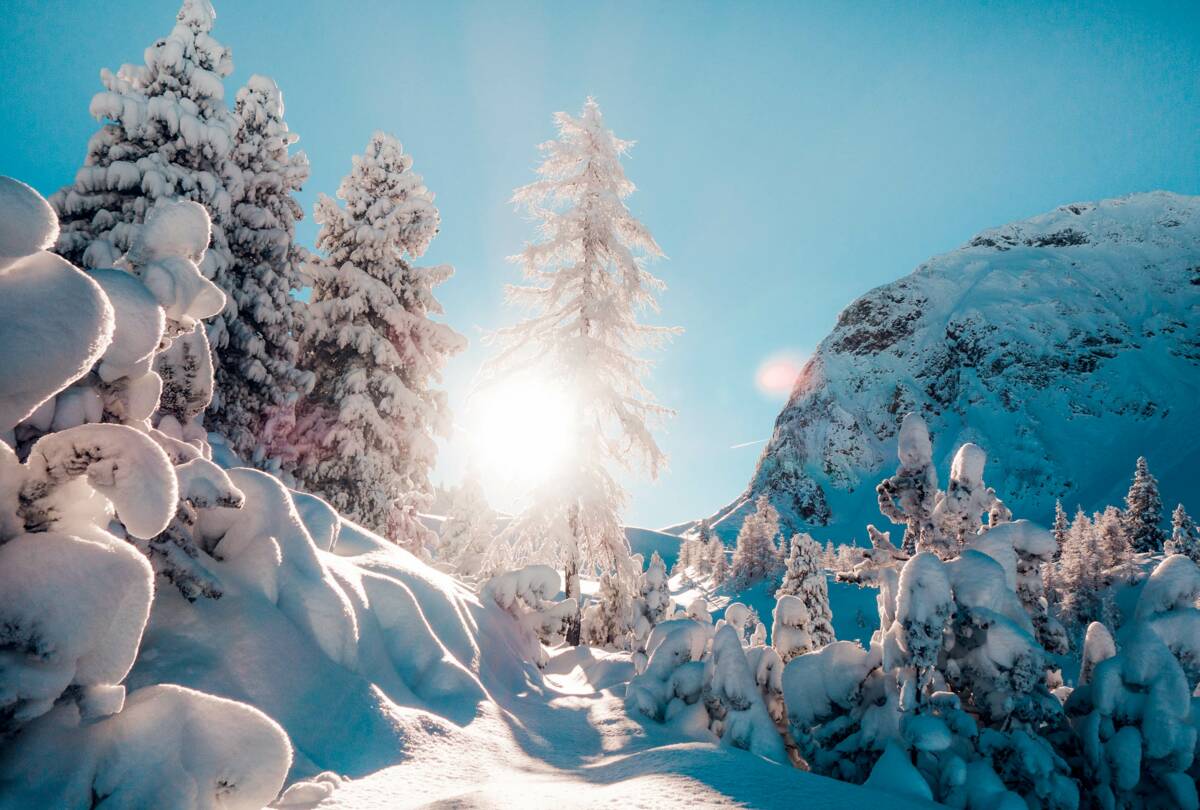 Winterzauber © Zillertal Tourismus